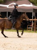 DSC00260