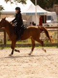 DSC04301 DSC04301