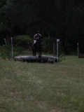 IMG_3875 IMG_3875