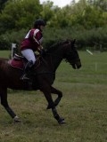 IMG_3881 IMG_3881