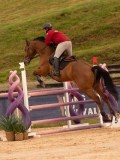 DSC01775 DSC01775