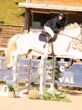 DSC03334 DSC03334