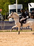 DSC03339 DSC03339