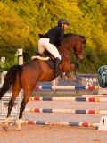 DSC04745 DSC04745