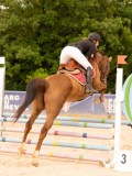 DSC00398 DSC00398