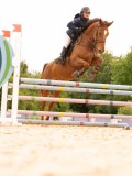 DSC01713 DSC01713