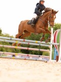DSC01714 DSC01714