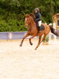 DSC01718 DSC01718