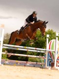 DSC03649 DSC03649