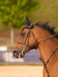 DSC00037 DSC00037