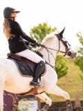 DSC02217 DSC02217
