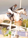DSC05598 DSC05598