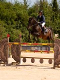 DSC03775 DSC03775