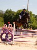 DSC03785 DSC03785