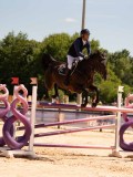 DSC03786 DSC03786