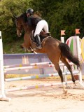 DSC07855 DSC07855