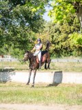 DSC08575 DSC08575