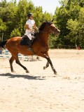 DSC06644 DSC06644