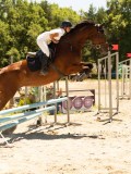 DSC06645 DSC06645