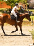 DSC06650 DSC06650
