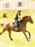 DSC00665 DSC00665