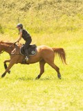 DSC00699 DSC00699