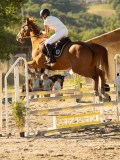 DSC08534 DSC08534