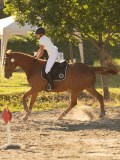 DSC08535 DSC08535