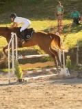 DSC08536 DSC08536