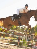 DSC08538 DSC08538