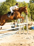 DSC08540 DSC08540