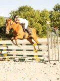DSC08542 DSC08542