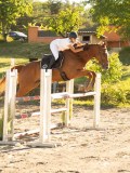 DSC08544 DSC08544