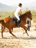 DSC08545 DSC08545