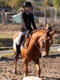 DSC01763 DSC01763
