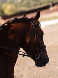 DSC01764 DSC01764