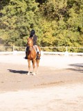 DSC01765 DSC01765