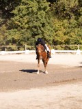 DSC01766 DSC01766