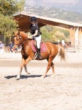DSC03853 DSC03853