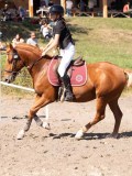 DSC03854 DSC03854