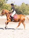 DSC03856 DSC03856