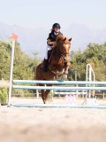DSC03858 DSC03858