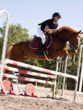 DSC03859 DSC03859