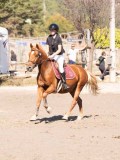 DSC03868 DSC03868