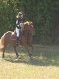 DSC06834 DSC06834