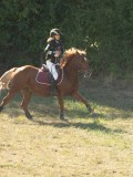 DSC06836 DSC06836