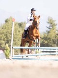 DSC03548 DSC03548