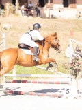 DSC03552 DSC03552
