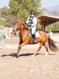 DSC03554 DSC03554