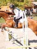 DSC03555 DSC03555